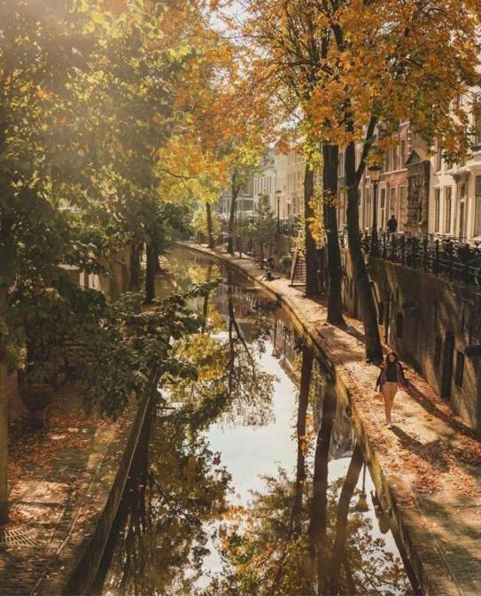 Vlinder'S Daire Utrecht Dış mekan fotoğraf
